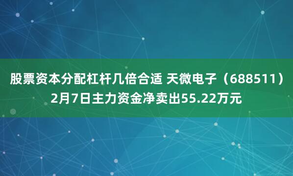 股票资本分配杠杆几倍合适 天微电子（688511）2月7日主力资金净卖出55.22万元
