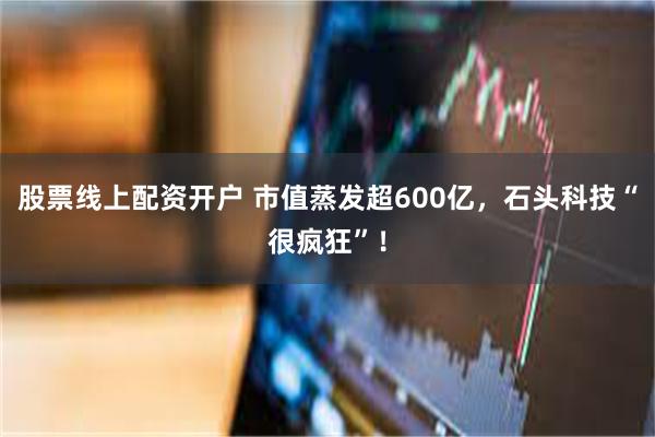 股票线上配资开户 市值蒸发超600亿，石头科技“很疯狂”！