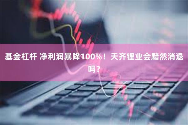基金杠杆 净利润暴降100%！天齐锂业会黯然消退吗？