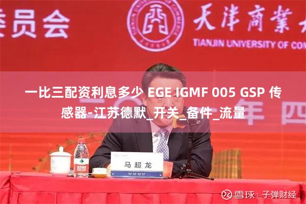 一比三配资利息多少 EGE IGMF 005 GSP 传感器-江苏德默_开关_备件_流量