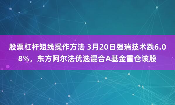 股票杠杆短线操作方法 3月20日强瑞技术跌6.08%，东方阿尔法优选混合A基金重仓该股