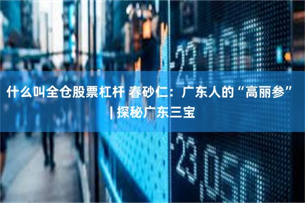 什么叫全仓股票杠杆 春砂仁：广东人的“高丽参” | 探秘广东三宝