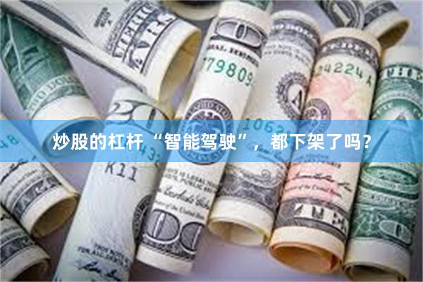 炒股的杠杆 “智能驾驶”，都下架了吗？
