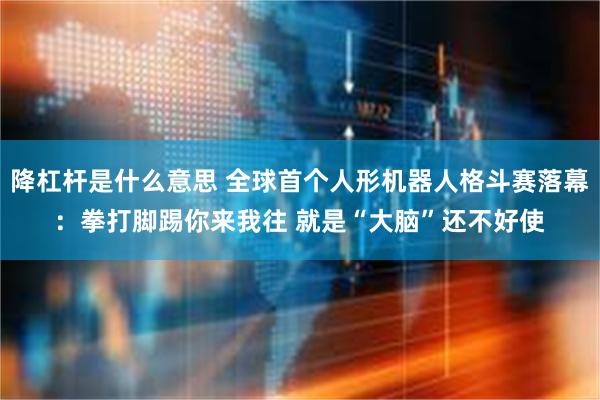 降杠杆是什么意思 全球首个人形机器人格斗赛落幕：拳打脚踢你来我往 就是“大脑”还不好使