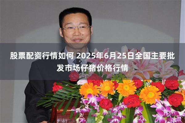 股票配资行情如何 2025年6月25日全国主要批发市场仔猪价格行情