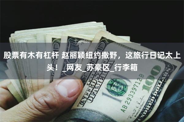 股票有木有杠杆 赵丽颖纽约撒野，这旅行日记太上头！_网友_苏豪区_行李箱