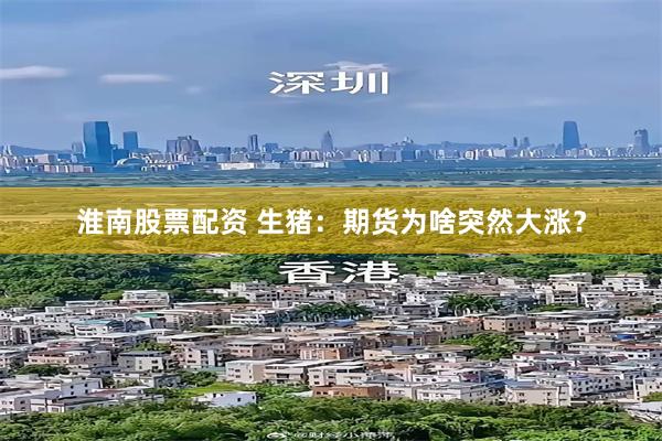 淮南股票配资 生猪：期货为啥突然大涨？