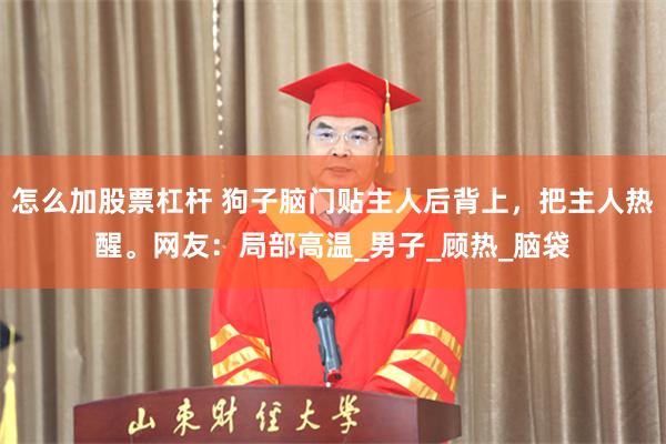 怎么加股票杠杆 狗子脑门贴主人后背上，把主人热醒。网友：局部高温_男子_顾热_脑袋