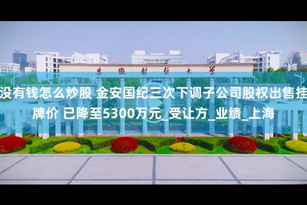 没有钱怎么炒股 金安国纪三次下调子公司股权出售挂牌价 已降至5300万元_受让方_业绩_上海