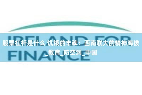 股票杠杆是什么 饥饿的丰碑：西南联大的精神海拔_教育_防空洞_中国