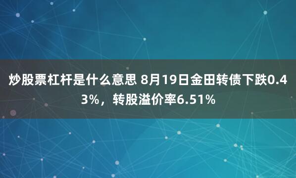 炒股票杠杆是什么意思 8月19日金田转债下跌0.43%，转股溢价率6.51%