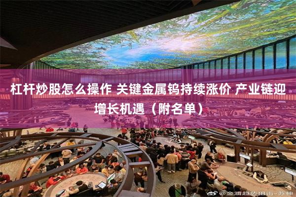 杠杆炒股怎么操作 关键金属钨持续涨价 产业链迎增长机遇（附名单）