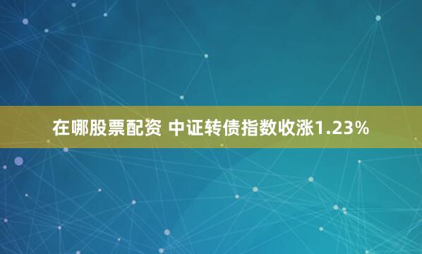 在哪股票配资 中证转债指数收涨1.23%