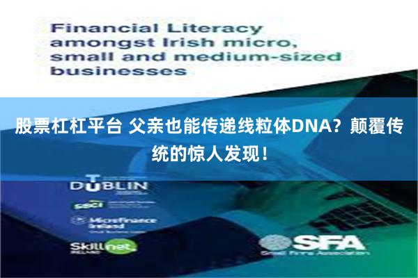 股票杠杠平台 父亲也能传递线粒体DNA？颠覆传统的惊人发现！