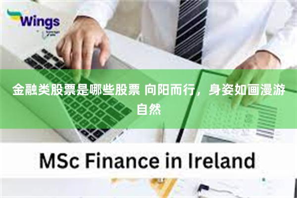 金融类股票是哪些股票 向阳而行，身姿如画漫游自然